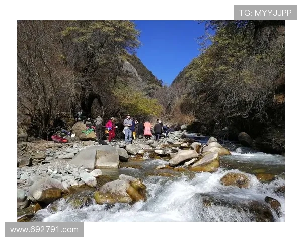 《火影忍者疾风传：失落之塔》——超越时空的羁绊，揭秘被遗忘的英雄