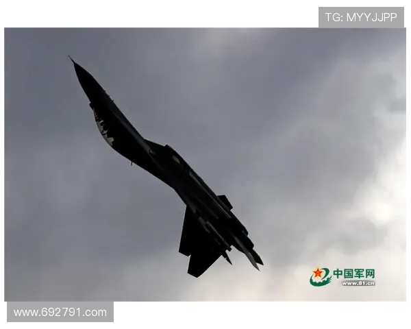 燕子女王：划破长空的自由颂歌